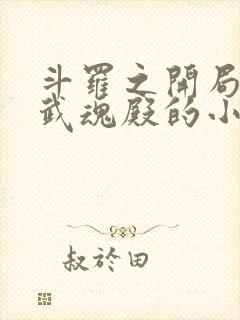 斗罗之开局加入武魂殿的小说