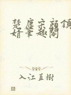 楚尘宋颜镇国神婿笔趣阁