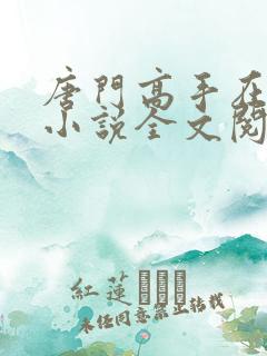 唐门高手在异世小说全文阅读