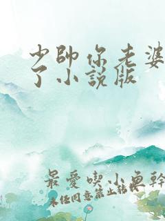 少帅你老婆又跑了小说版