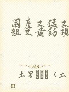 国产又猛又爽又粗又黄的视频