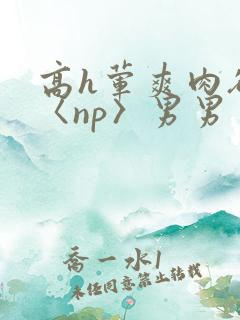 高h荤爽肉欲文〈np〉男男