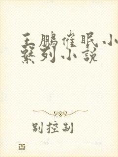 王鹏催眠小说系系列小说