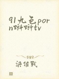 91九色porn蝌蚪tv
