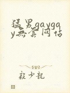 猛男gaygay无套网站