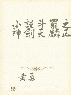 小说斗罗之灵珠神剑天麟正版全文下载