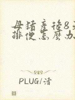 母猪产后8天不排便怎么办