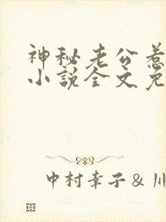 神秘老公惹不起小说全文免费阅读