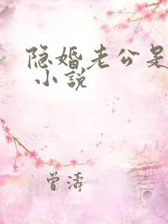 隐婚老公是大佬 小说