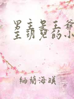 男主是王爷叫女主玥儿的小说