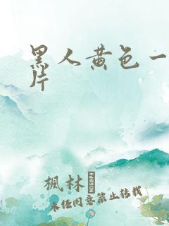 黑人黄色一级大片