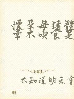 怀孕母猪体温正常不吃食是怎么回事