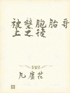 被双胞胎哥哥强上之后