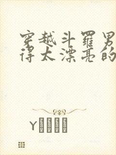 穿越斗罗男主长得太漂亮的小说