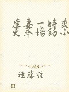 虐妻一时爽追妻火葬场的小说现言