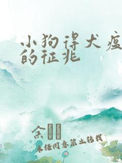 小狗得犬瘟死前的征兆