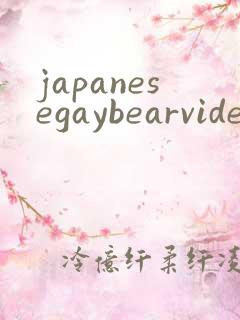 japanesegaybearvideo