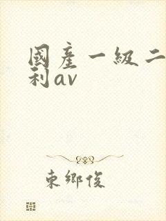 国产一级二级福利av