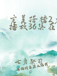 完美搭档2免费播放36集在线观看