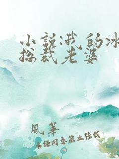 小说:我的冰山总裁老婆