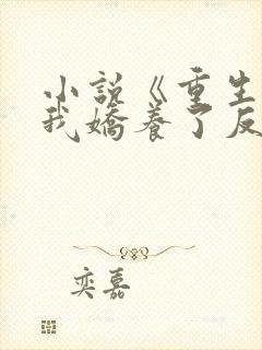 小说《重生后,我娇养了反派摄政王》