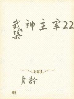 武神主宰222集