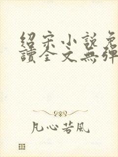 绍宋小说免费阅读全文无弹窗