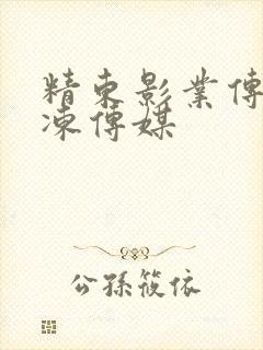 精东影业传媒果冻传媒