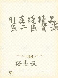 91在线精品一区二区资源