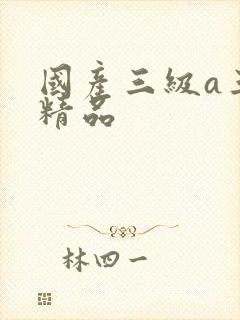 国产三级a三级精品