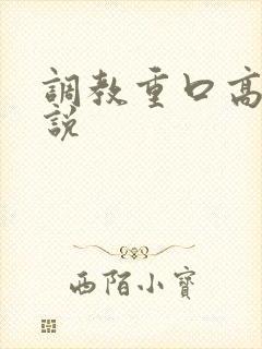 调教重口高h小说