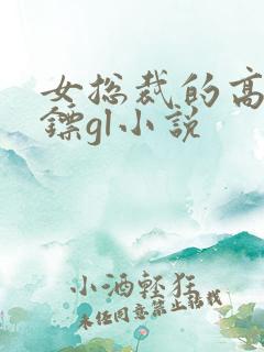 女总裁的高冷保镖gl小说