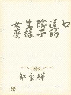 女生阴道口是什么样子的