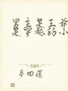 男主是王爷女主是穿越的小说