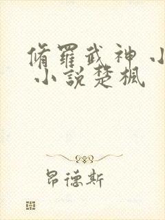 修罗武神 小说 小说楚枫