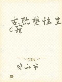 古耽双性生子文c宠