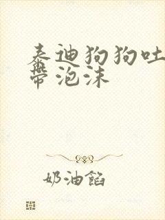 泰迪狗狗吐黄水带泡沫