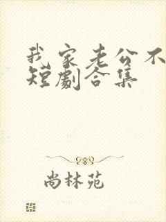 我家老公不好惹短剧合集