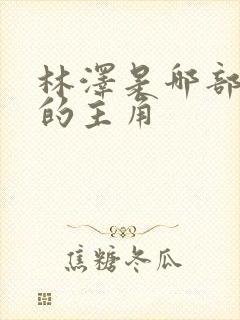 林泽是哪部小说的主角