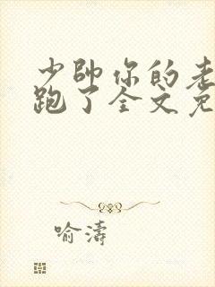 少帅你的老婆又跑了全文免费阅读