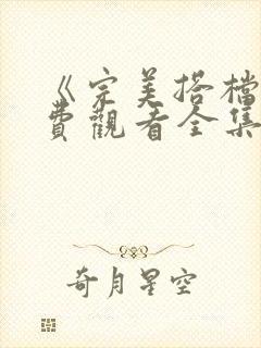 《完美搭档》免费观看全集