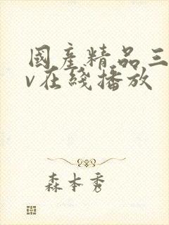 国产精品三级av在线播放