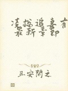 凌总追妻有点甜 最新章节