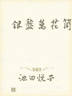 银盘万花筒小说