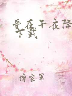 爱在午夜降临前 下载