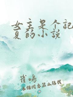 女主是个记者姓夏的小说