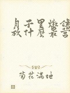 月子里炖鸽子汤放什么最营养