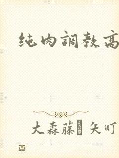 纯肉调教高h虐