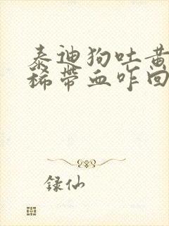 泰迪狗吐黄水拉稀带血咋回事