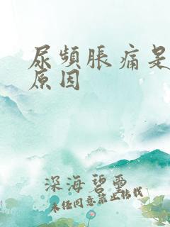 尿频胀痛是什么原因